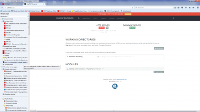 easyphp page 11.png